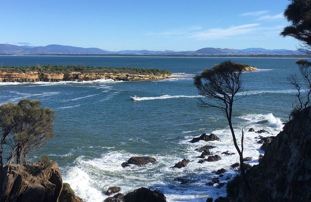 Peaceful beach retreat, close to cafe, bakery, bistro, shop & only 30 min Hobart