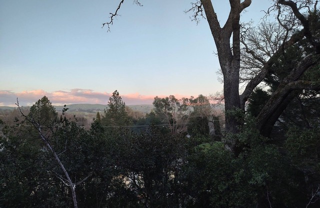 Peaceful cottage in the woods