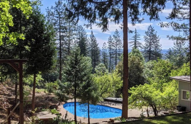 Peaceful Forest Retreat w/Pool, Game Room, EV Charger. Pet friendly!