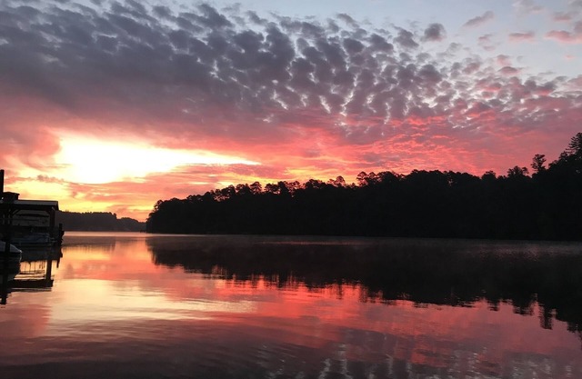 Peaceful Lakefront Serenity