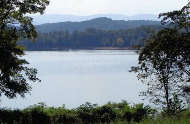 Peaceful lakeview cabin with private dock & dog run
