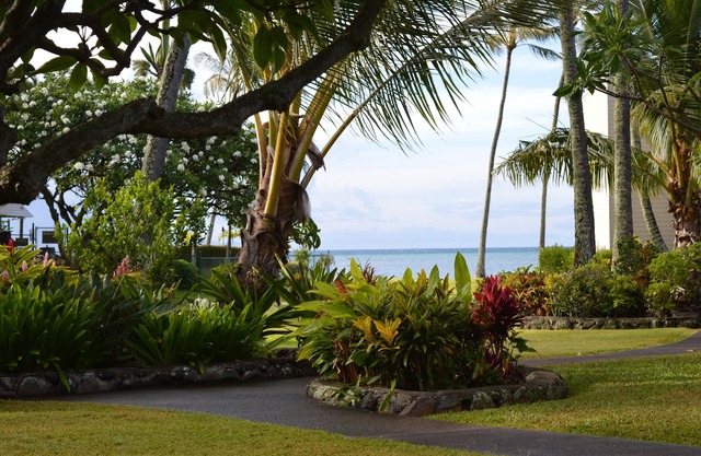 Peaceful Ocean View. Ground Floor. Classy, clean and quiet.