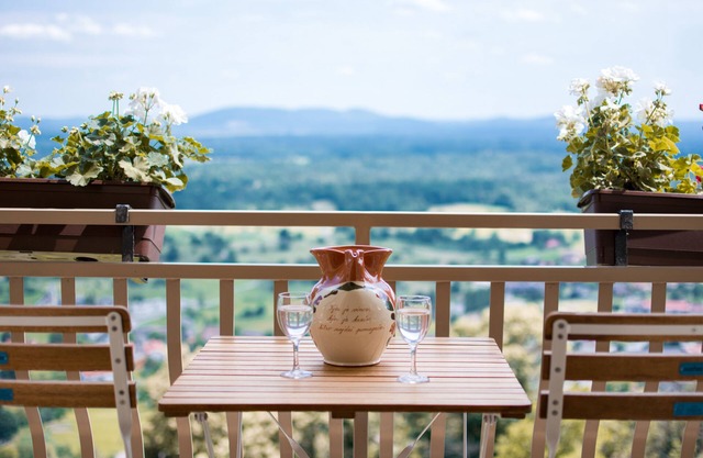 Peaceful paradise among vineyards with charming balcony view. River Kolpa nearby