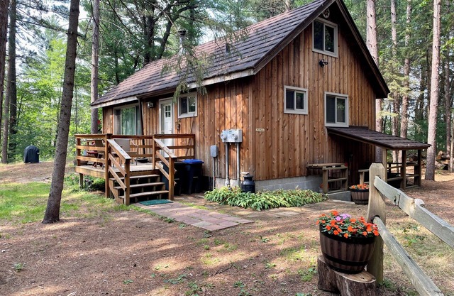 Peaceful Wooded Sanctuary on creek with tree house and private dog park