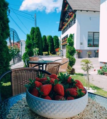 Pensiunea Casa Andreea - Bârsana Maramureș