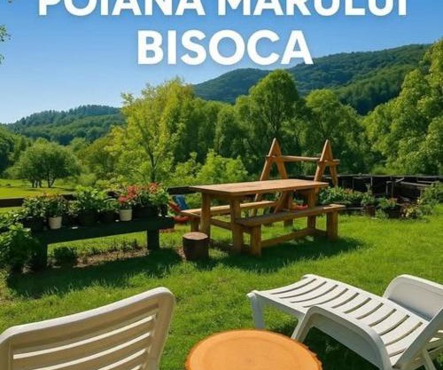 Pensiunea Poiana Marului - Bisoca