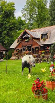 Pensiunea Rustic Oncesti
