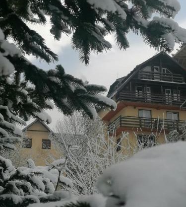 Pensiunea Vladis