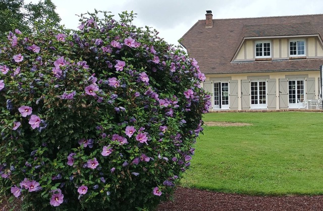 PEONY ROOM