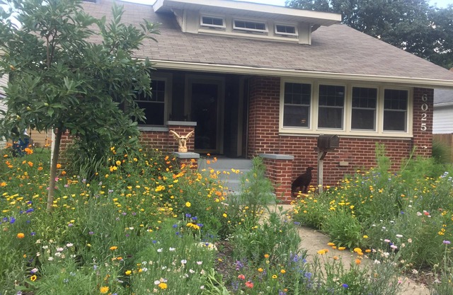 Perfect basement apartment in heart of Broad Ripple Park. Off street parking.