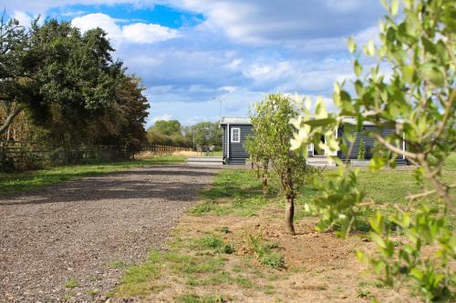 Perfect Couple Retreat, Puppy Lounge & Games Room