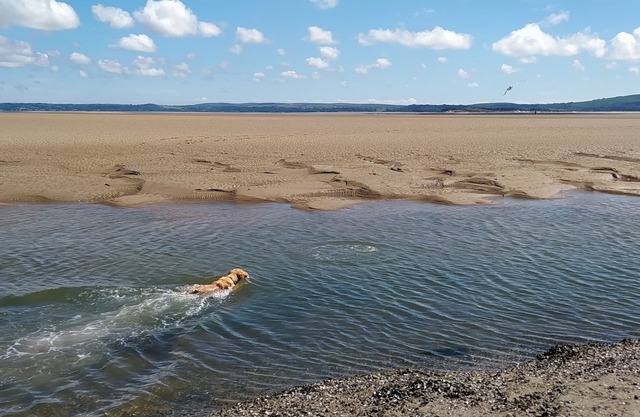 Perfect couples retreat, dog-friendly, explore the welsh coast.