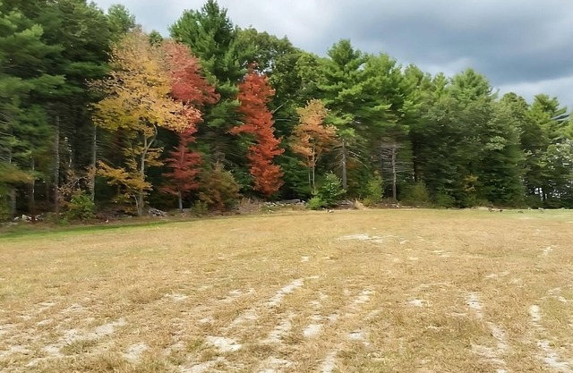 Perfect for a Quick Escape! 2 Spacious Units w/FREE Breakfast and Parking!