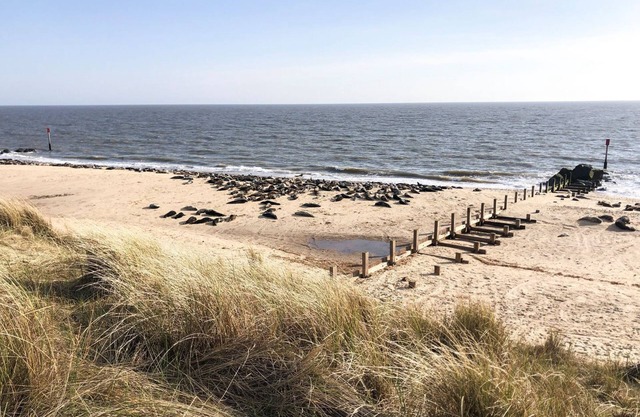 Perfect for families and couples alike, with a short walk to the lovely sandy beach.