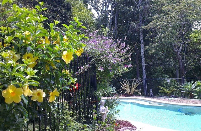 Pet Friendly-Adults Only, Kingscliff, Tropical Coast Retreat, Hinterland Suite