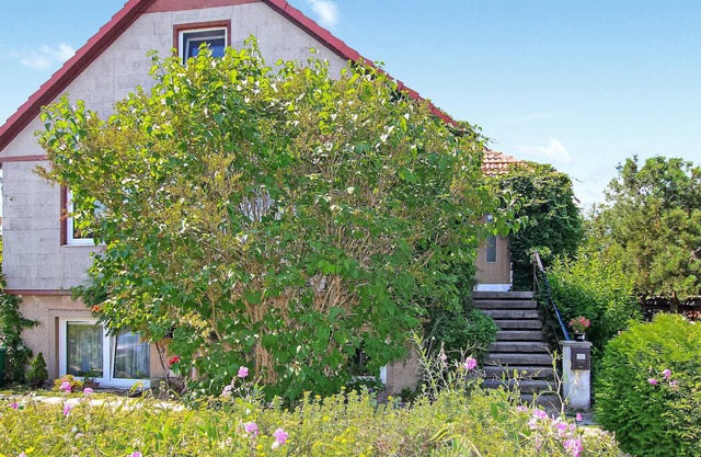 Pet friendly apartment in Klink