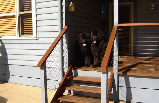 Pet Friendly Beach Cottage at Cannons Creek