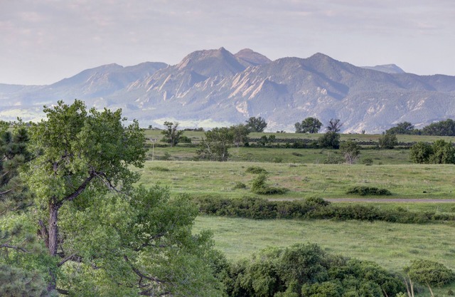 Pet Friendly Boulder Country Estate