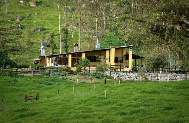 Pet-friendly cottage for groups with fireplace and forests