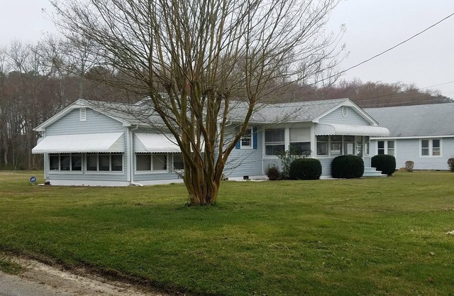 Pet Friendly Near Berlin, Assateague Island Beaches and Ocean City