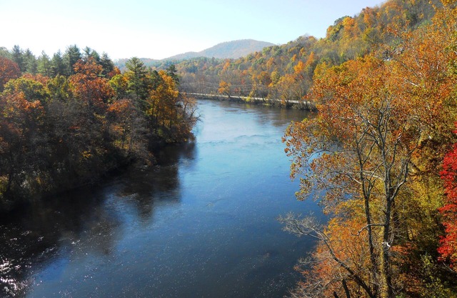 Pet Friendly One Bedroom Get Away, Close to Asheville