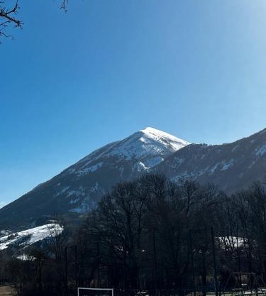 Petit Chalet De Montagne