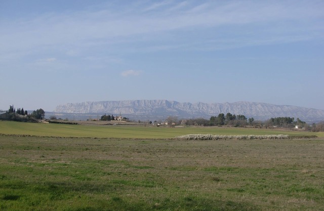 Peynier aux marronniers Sainte-Victoire view
