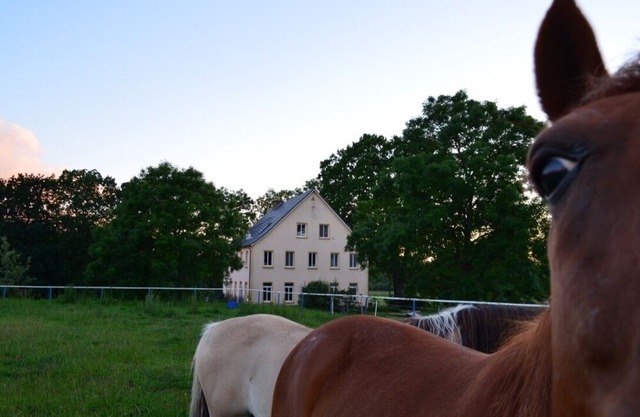 Pferdehof Muhlitz on Rügen, an idyll for individualists
