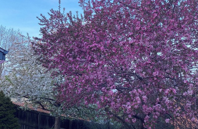 Piano players welcome in my shared musical home!
