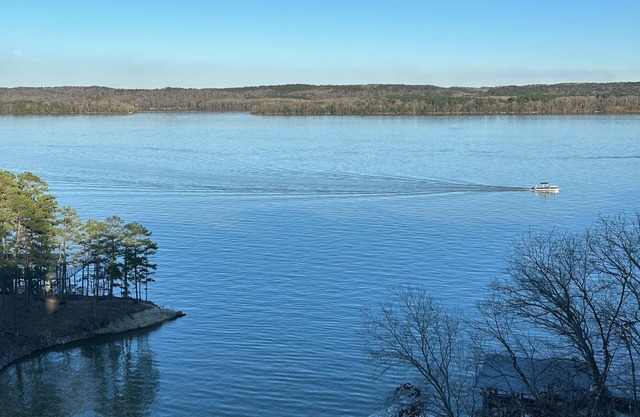 Pickwick Lake Front Estate w/water views, boatslip & pool 3 mi to State Park