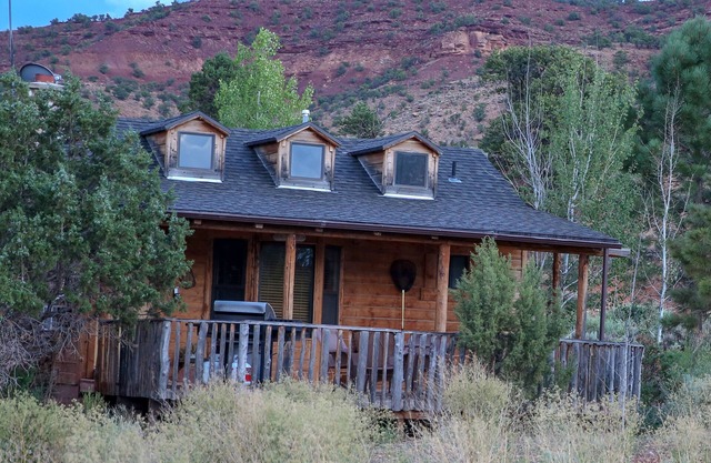 Pine cabin/Drk Sky/Wi-Fi/Dog Ok/Quiet