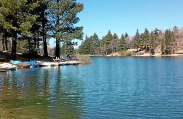 Pine Cone Cabin/200 feet from Lake