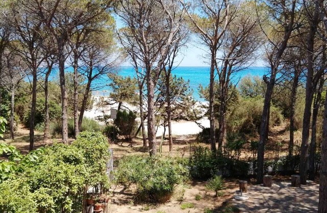 PINE CONE DIRECT ACCESS TO THE BEACH (NO WIFI) CIN IT091063C2000S5156