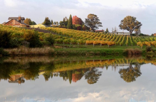 Pine Hill Lodge In Vineyard