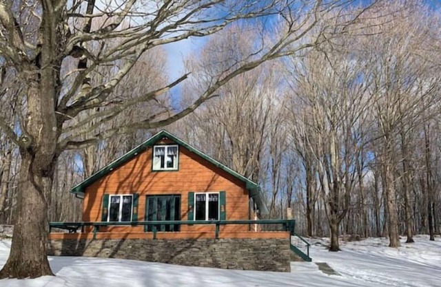 Pinecone Chalet - Private Cozy Cabin - Great Location