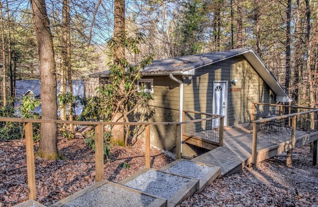 Pisgah Hillside Haven | Brevard/Asheville, Hiking, Mtn Biking, Shopping!