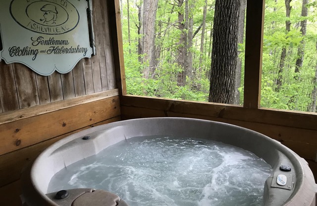 Pisgah Paws! Secluded with Private Hot Tub, Fireplace, View, WiFi,Pet Friendly