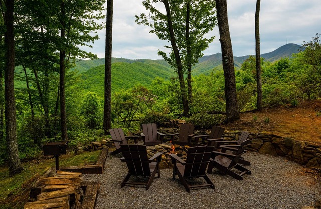 Pisgah Peaks, our mountain top oasis! Renovated Asheville area modern cabin!
