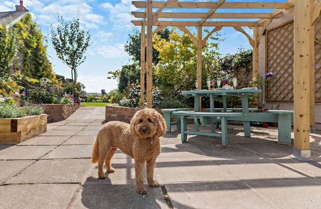 Plas Tirion - One Bedroom House, Sleeps 8