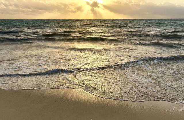 Playa Del Carmen - Beautiful Studio 2