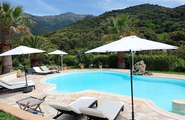 Pleasant new studio with swimming pool near Ajaccio and Porticcio