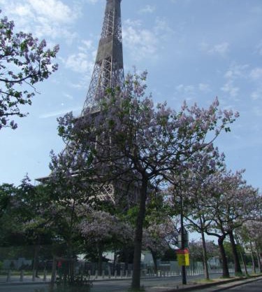 Plein coeur de Paris