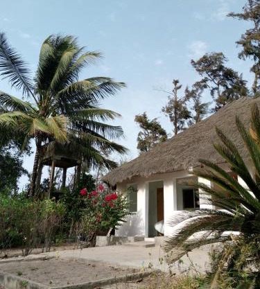Poco Loco B&B