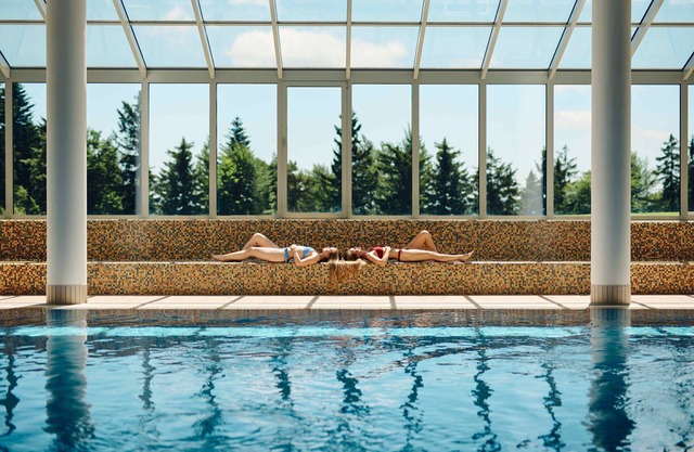 Pohorje Village Wellbeing Resort – Forest Hotel Videc