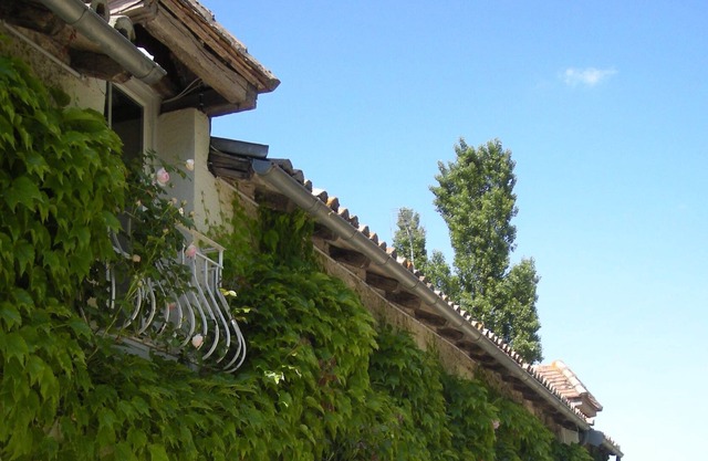 Poitou, Country house in a calm and relaxing environment.