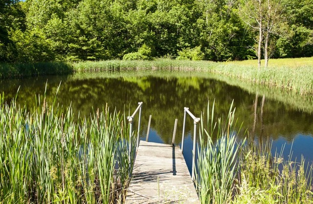 Pond View Cottage in Old Chatham WEEKLY & MONTHLY DISCOUNTS OFFERED!!!!