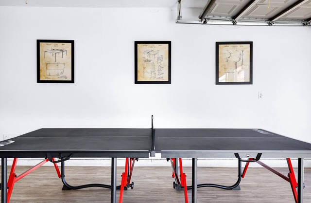 Pong - A Birdy Vacation Rental