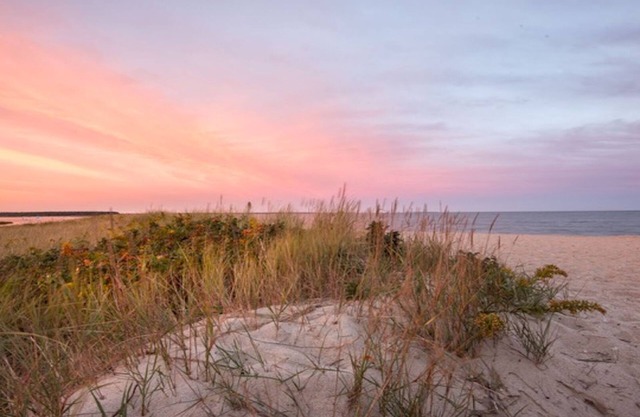 Poppy Cottage - Walk to Beach, Central AC!