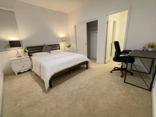 portola spring cozy room