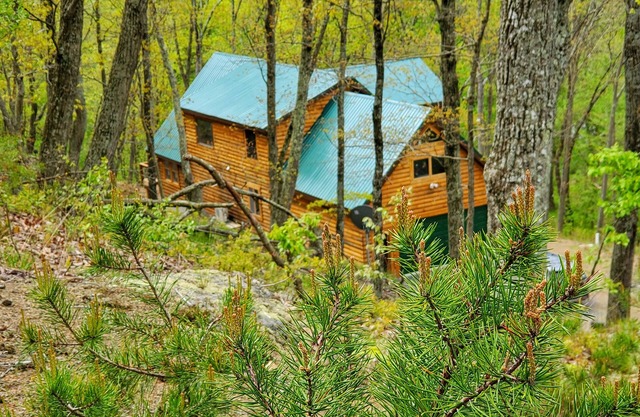 Potomac Cabin: Riverfront, 7 acres, sleeps 14, hot tub, Starlink